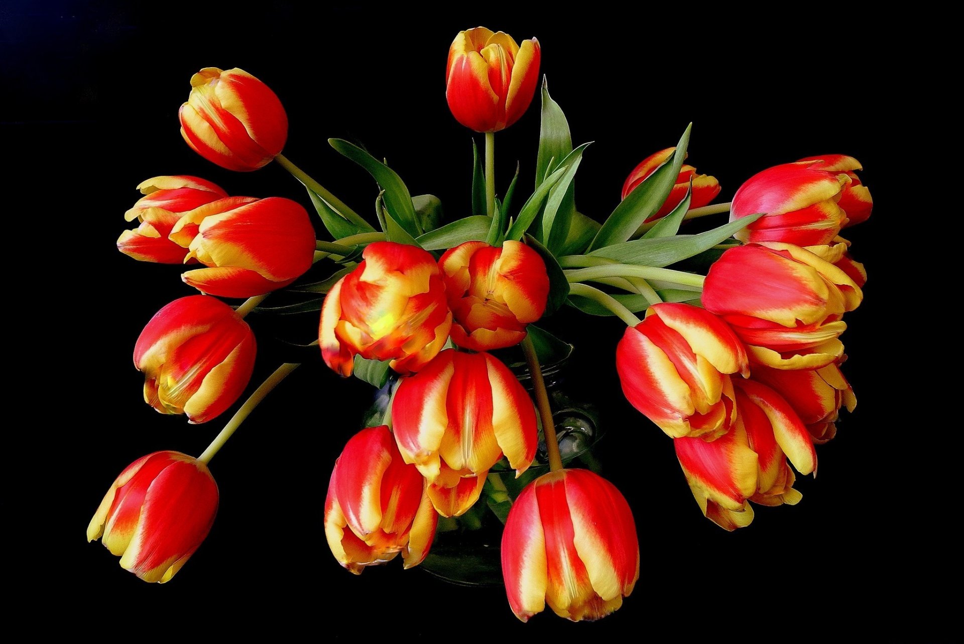 fiori bouquet tulipani arancione rosso giallo vaso sfondo nero