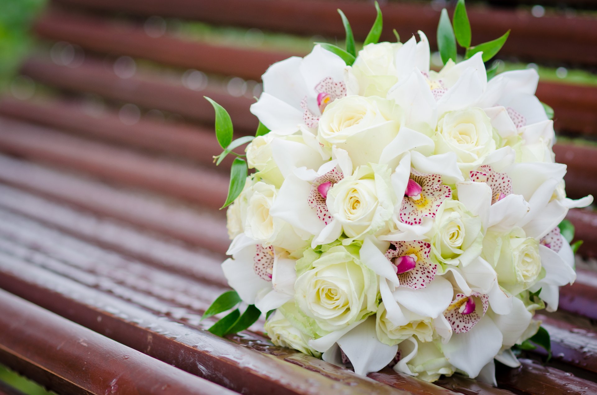 rose orchidee bianco bouquet fiori panchina panchina