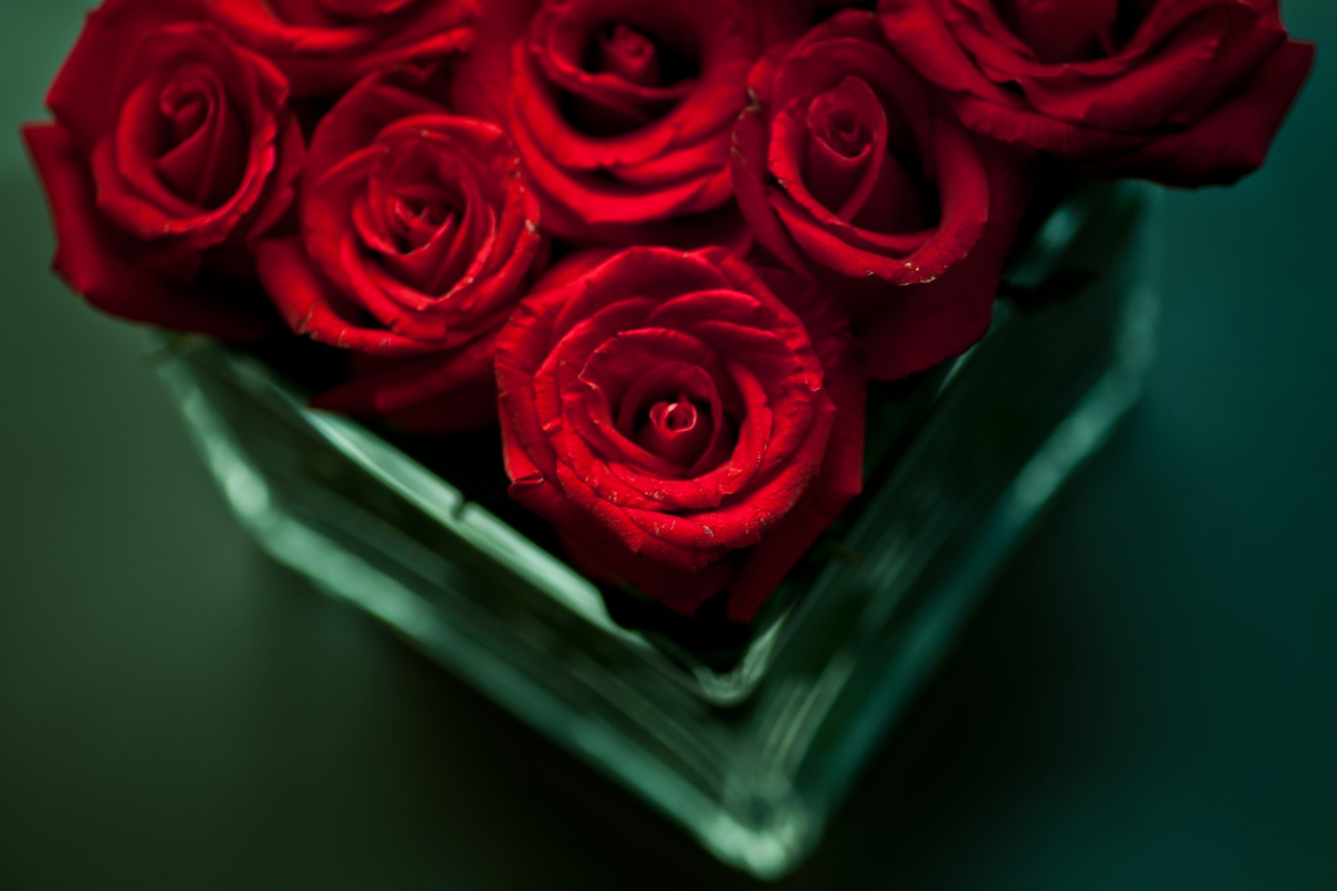 flower bouquet roses red vase table