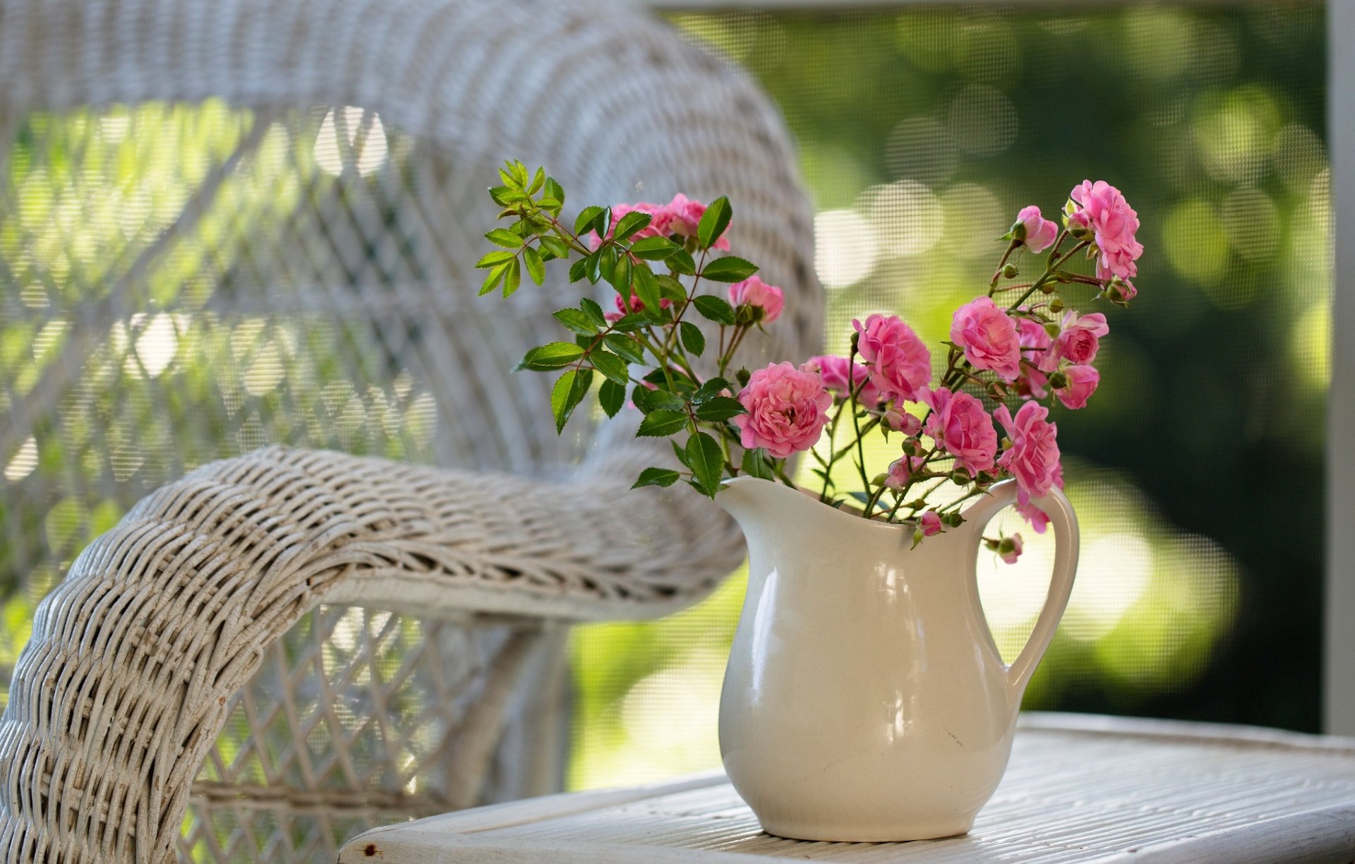 roses rose cruche table fauteuil nature fleurs