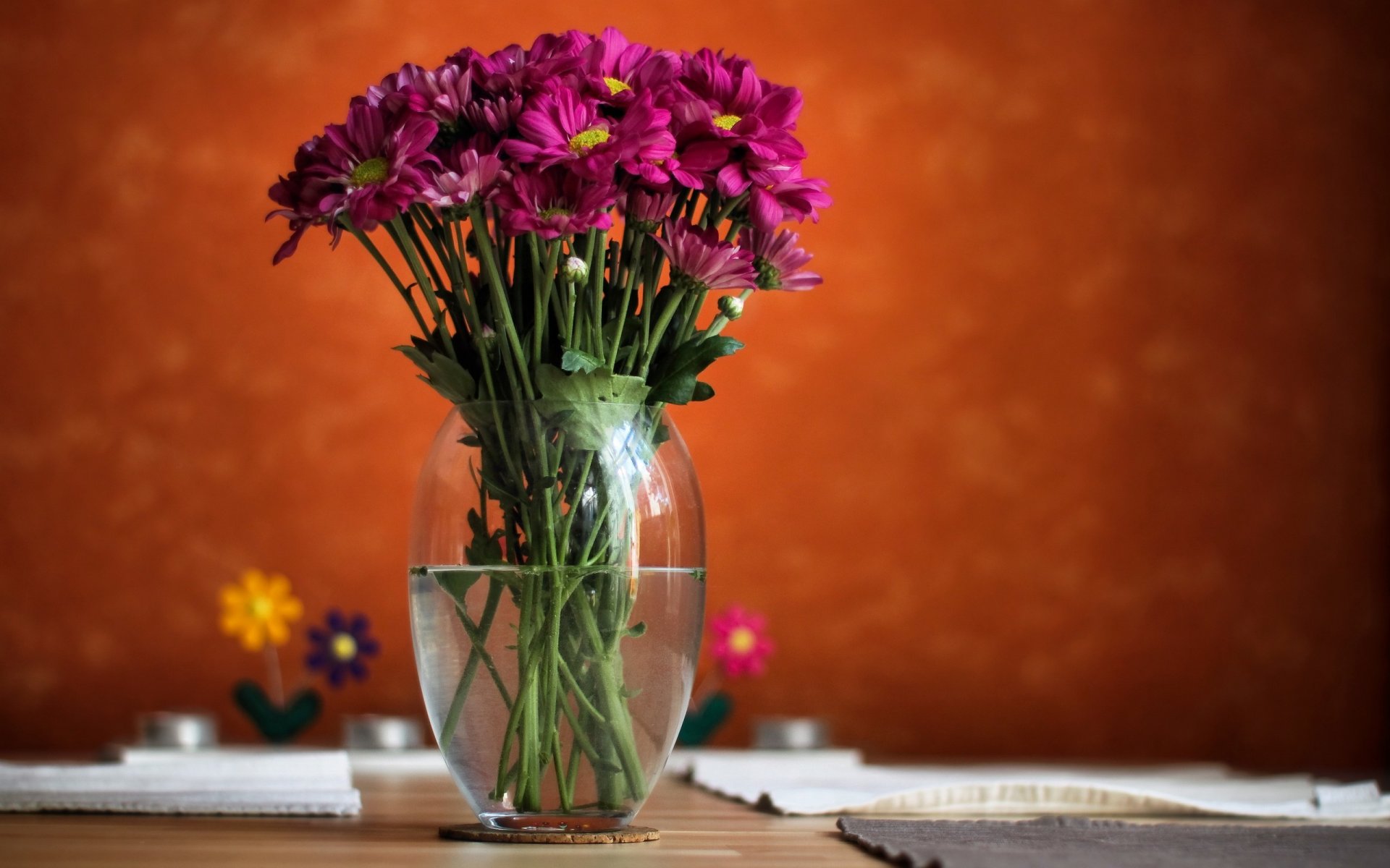 vase water flower pink background blur