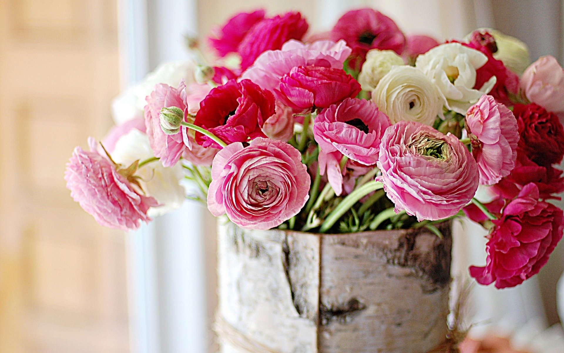 pivoines fleurs écorce bouleau ranunculus