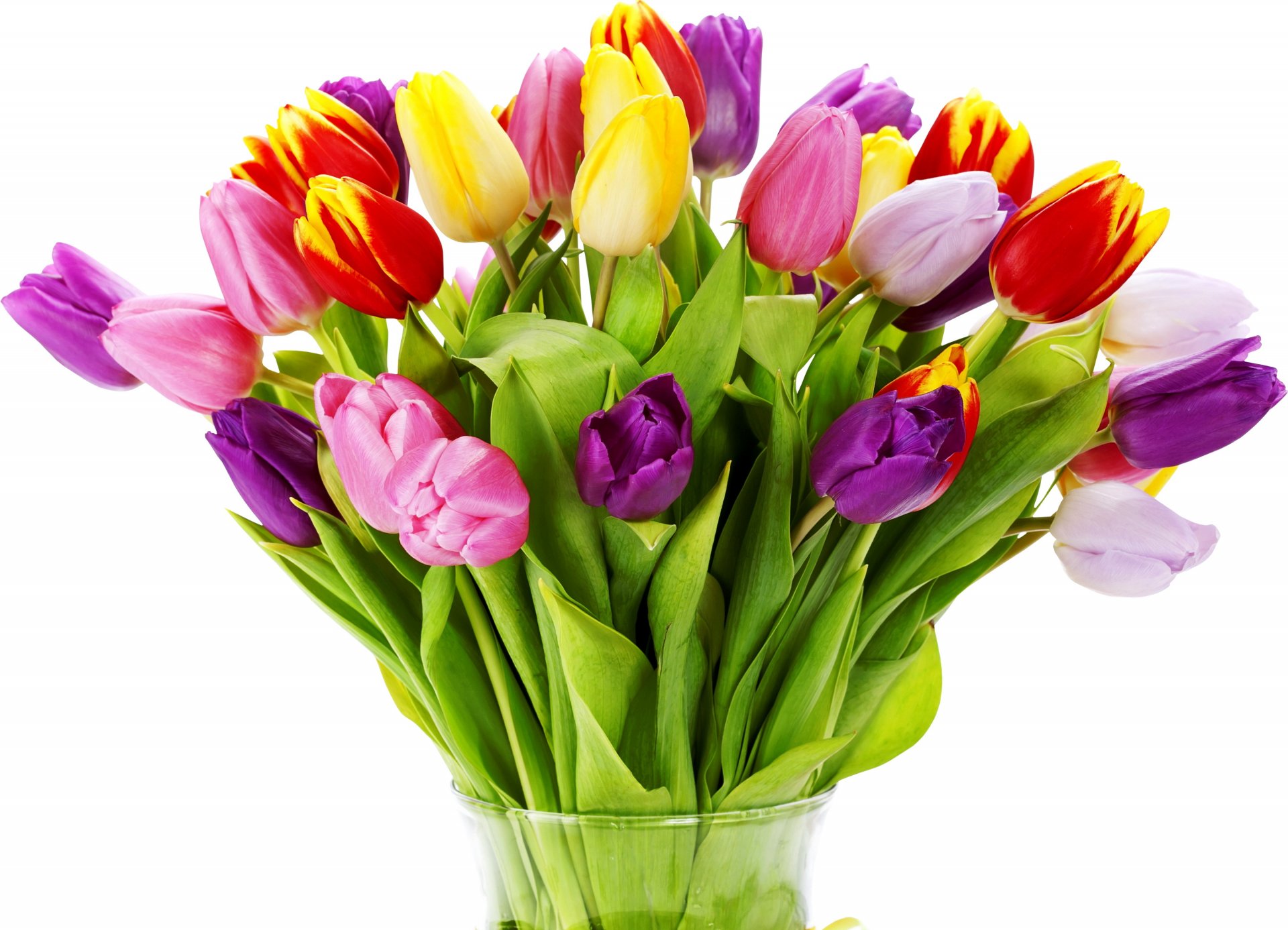 tulips flowers flower spring nature tulip bouquet vase