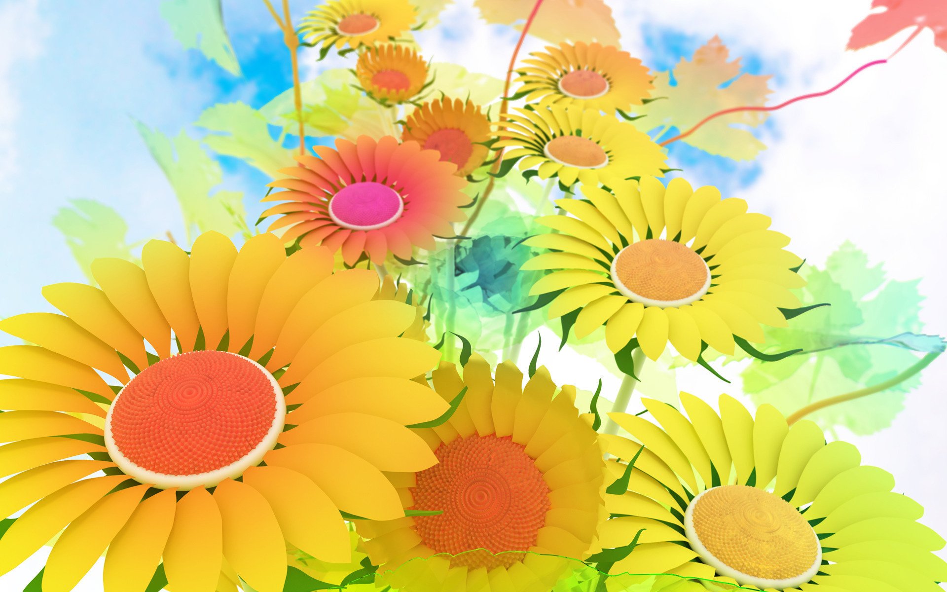 daisy flower the stem sky clouds wallpaper