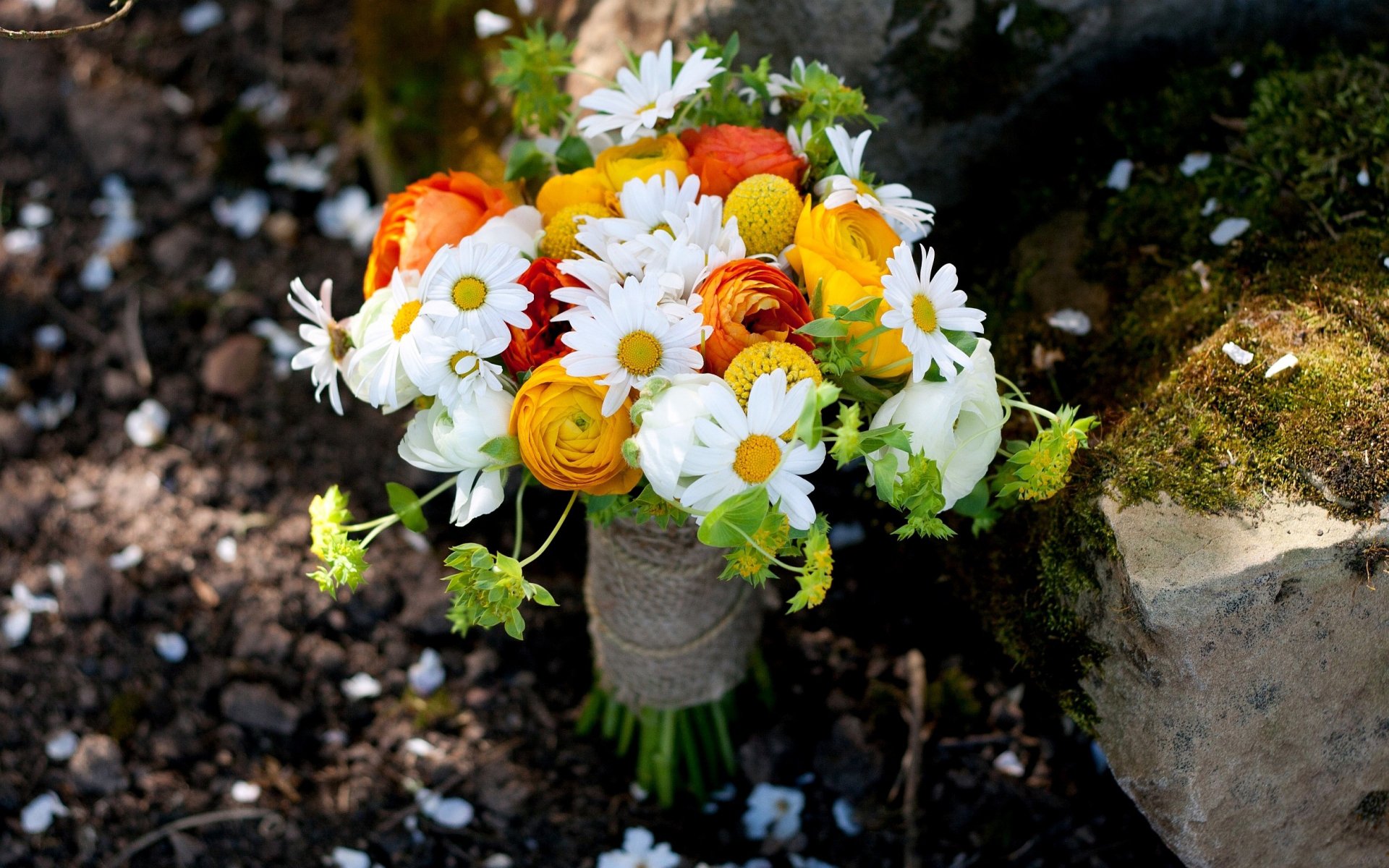 bouquet daisy roses close up