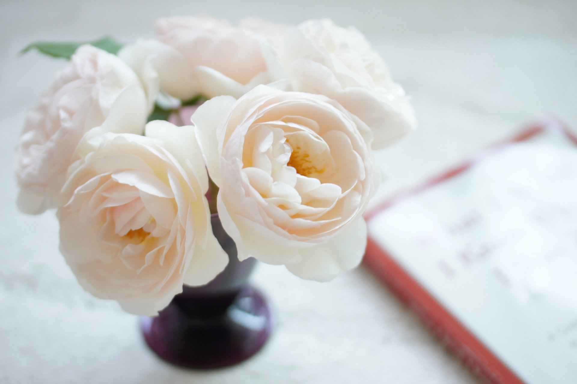 vase fleurs bouquet roses blanc et rose