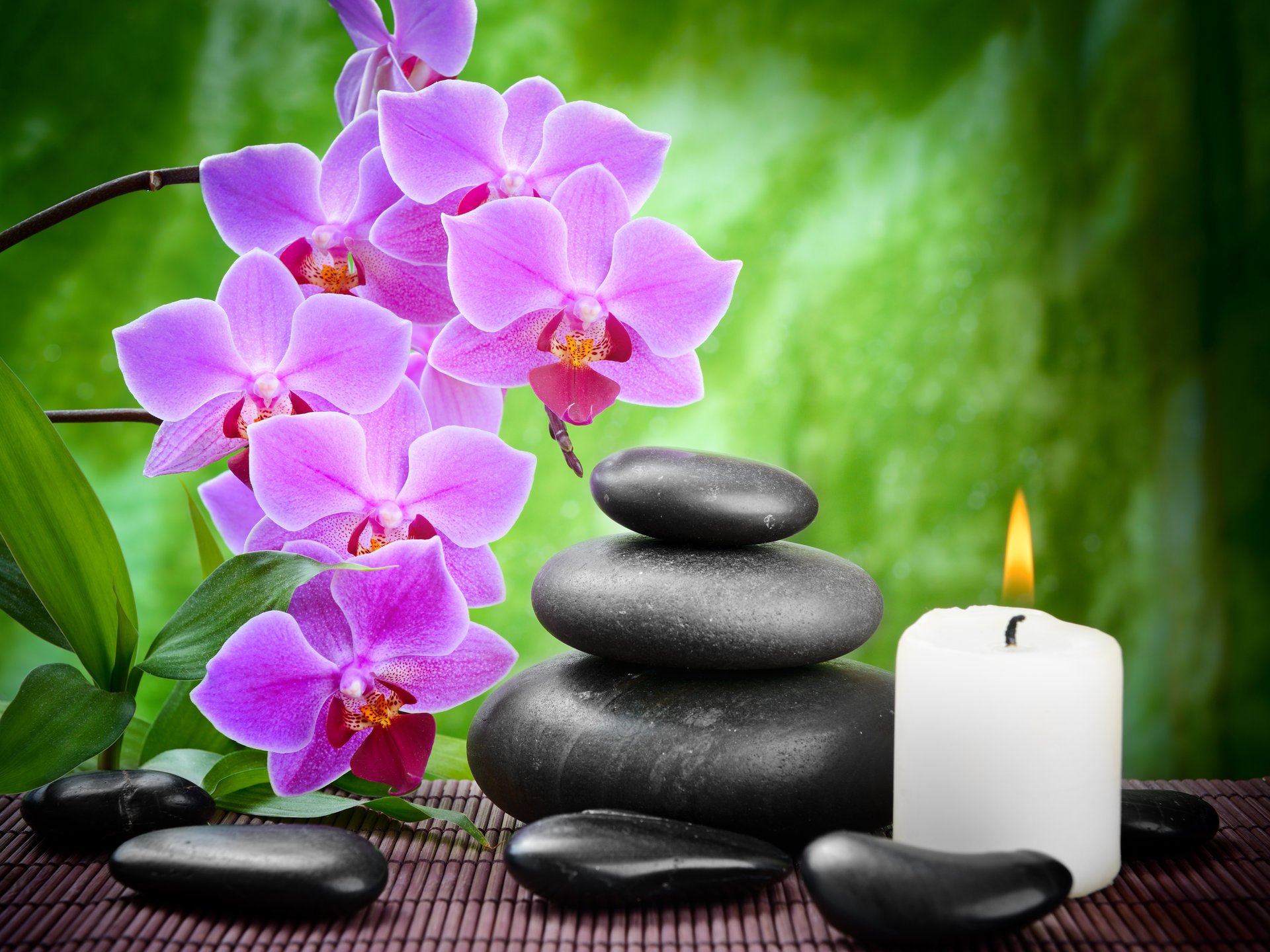 tones black massage spa flower orchid bamboo candles black massage flower