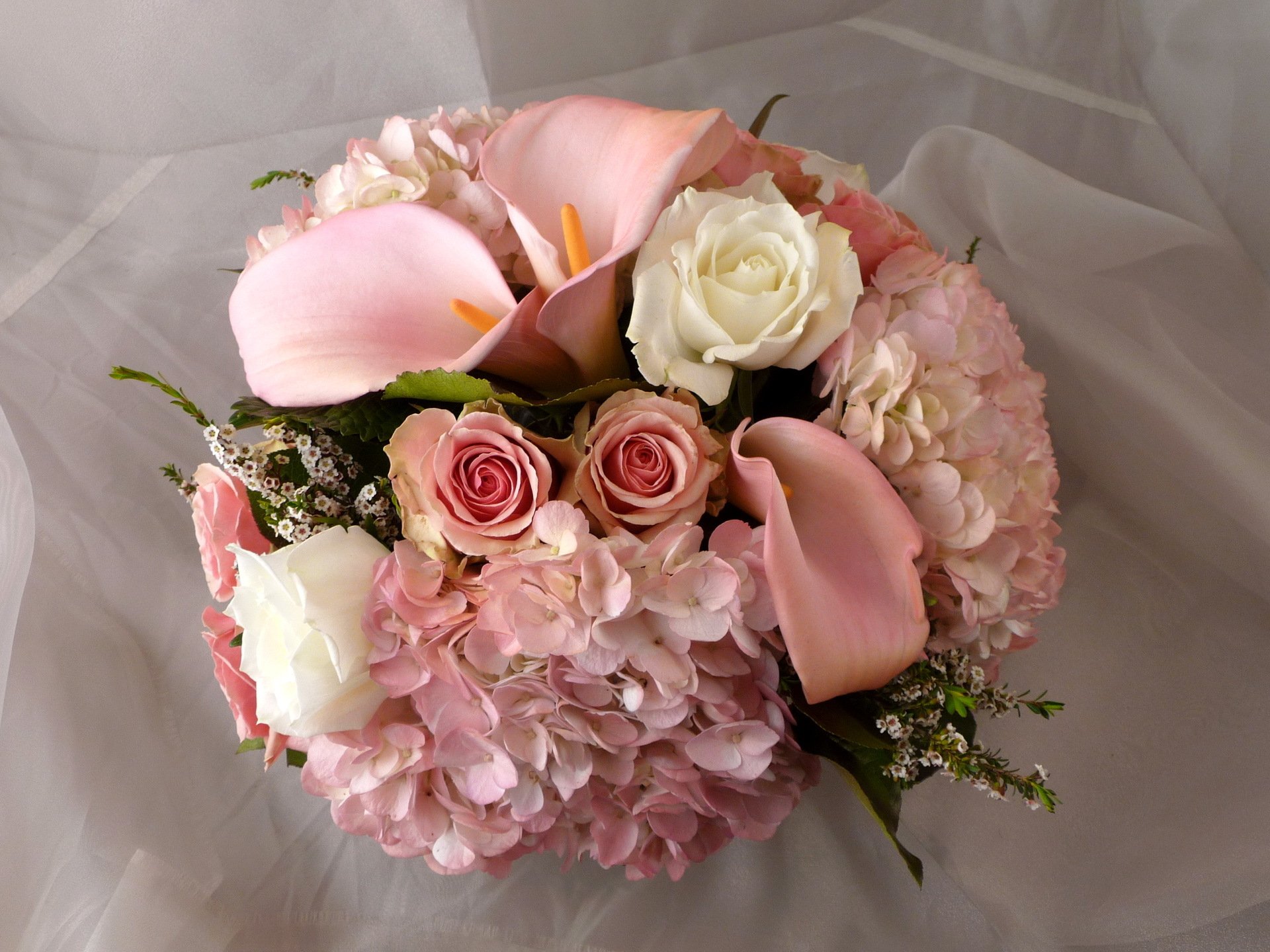 roses blanc rose fleurs fleur bouquet calla