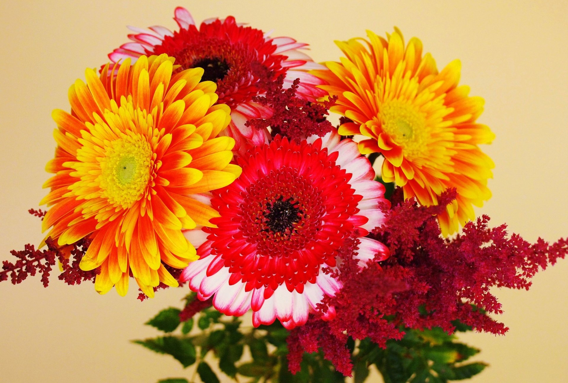 flower bouquet bright nice