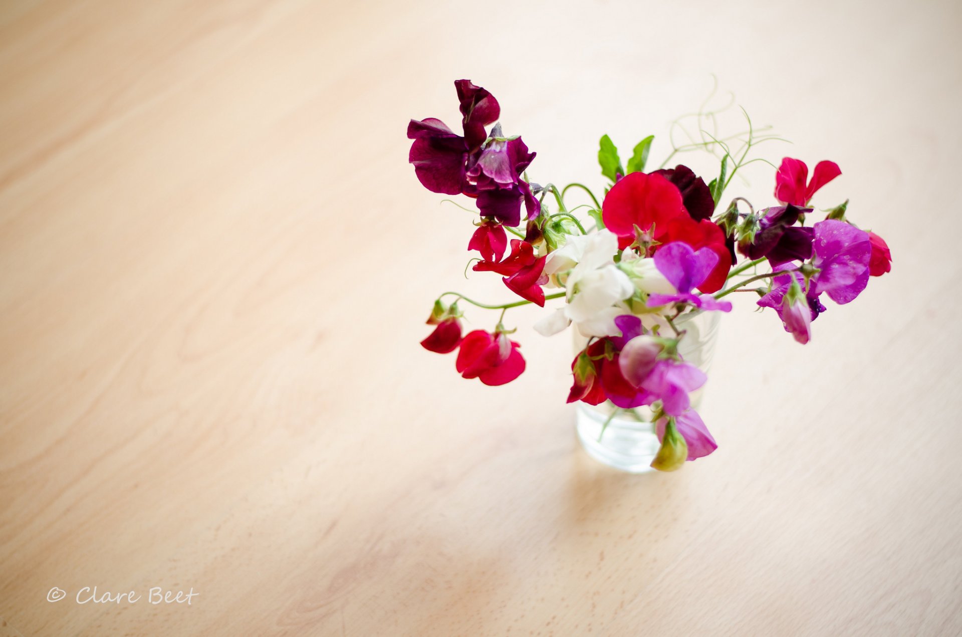 claire rote bete vase blumen blumenstrauß erbsen duftend