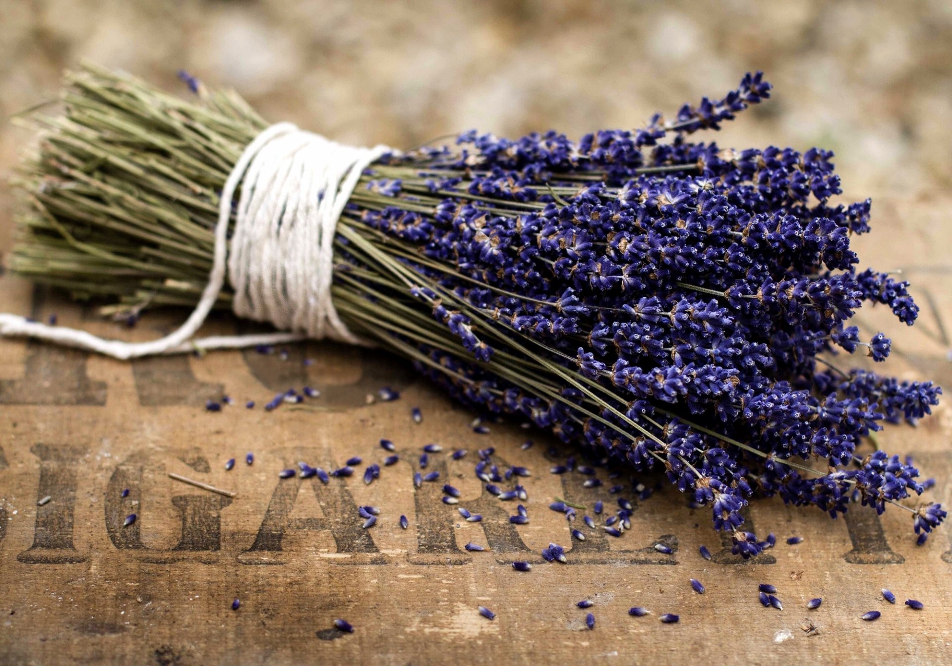 lavanda ramo flores púrpura