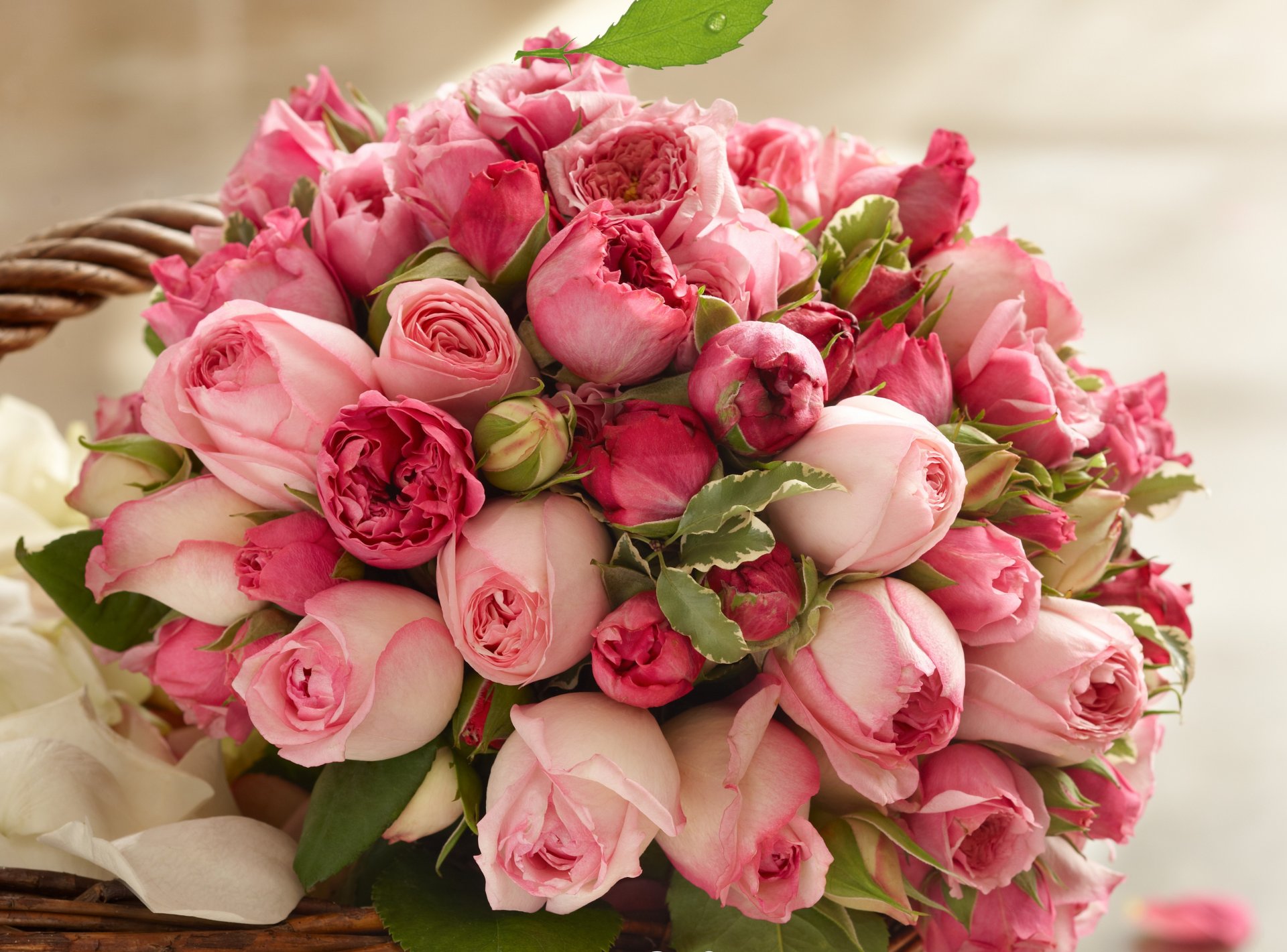 roses pink bouquet beauty pink buds petal