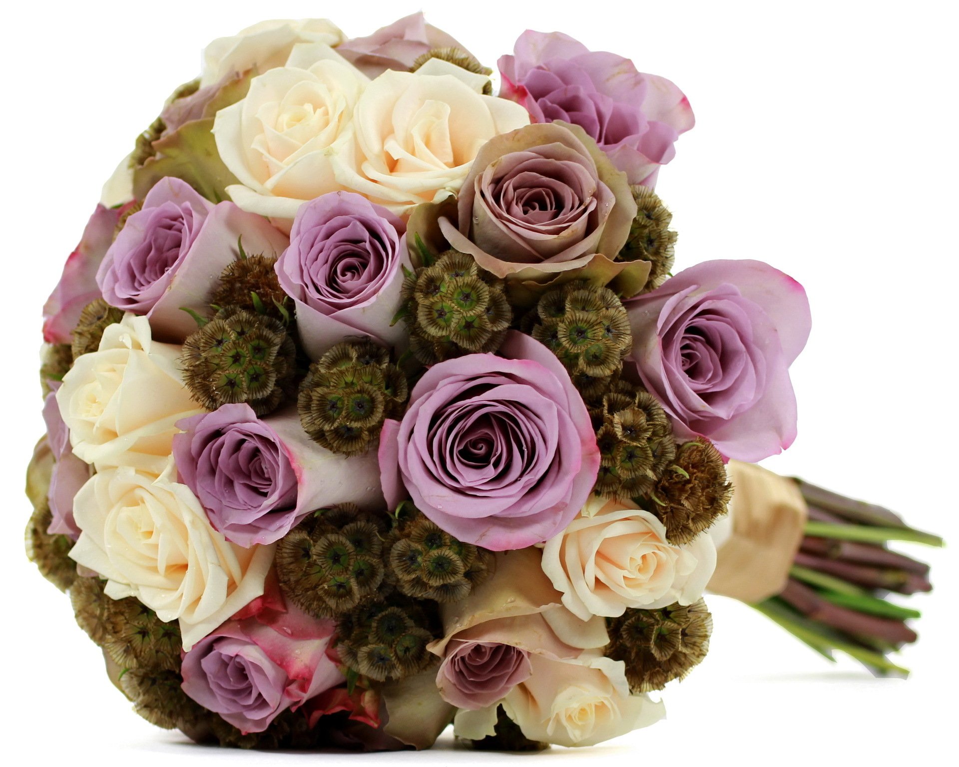 roses white lilac flowers flower bouquet