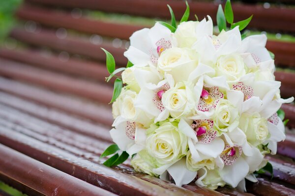 A delicate bouquet of white flowers as a gift