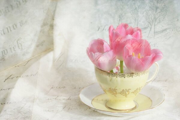 Pale pink tulips in a cup