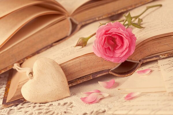 Rose et coeur sur fond de livres