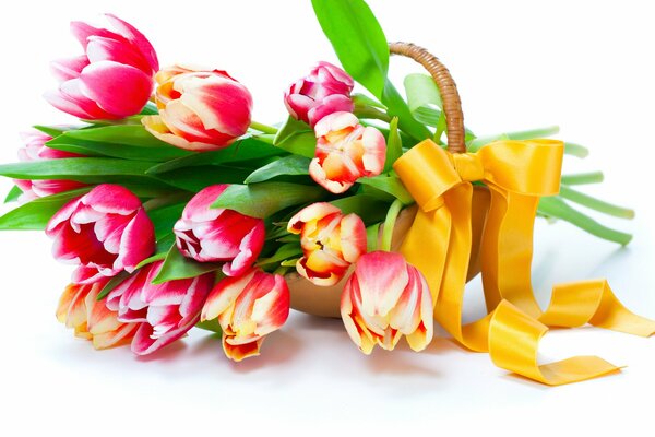 A bouquet of tulips tied with a yellow ribbon