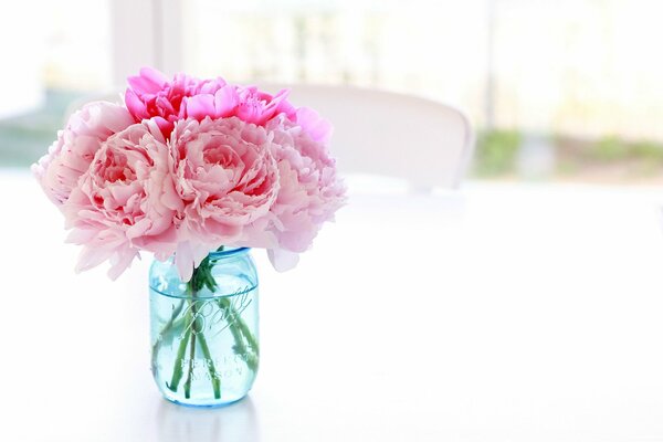 Pivoines florissantes sur une table blanche