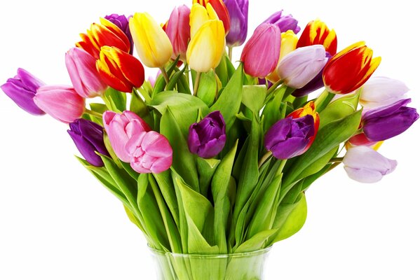 Spring bouquet of tulips in a vase