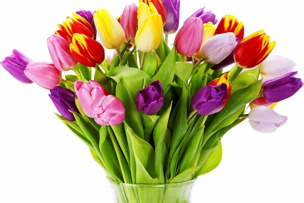 Bouquet de tulipes de printemps dans un vase