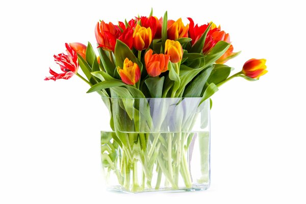 Spring tulips bouquet March 8