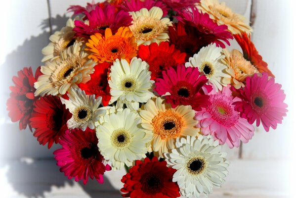 Un ramo de flores de gerbera multicolores para todos los gustos