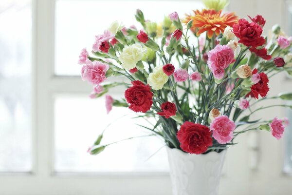 Beautiful carnations in a white vase