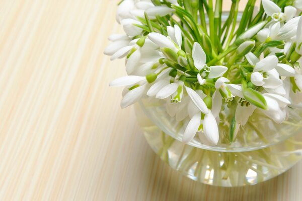 A bouquet of snowdrops is in a vase