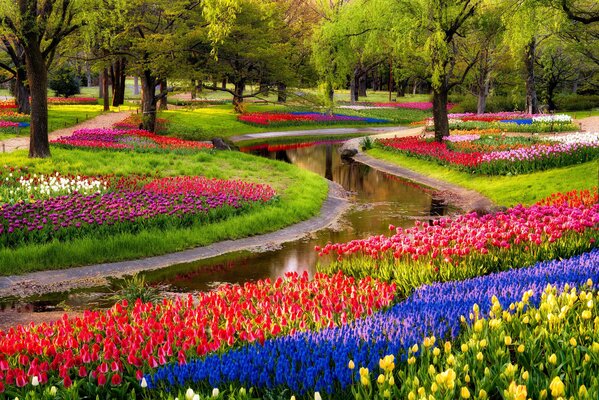 A park with flower beds in which very beautiful flowers grow