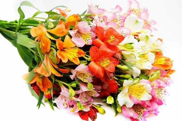 Beau bouquet de fleurs Alstroemeria sur fond blanc