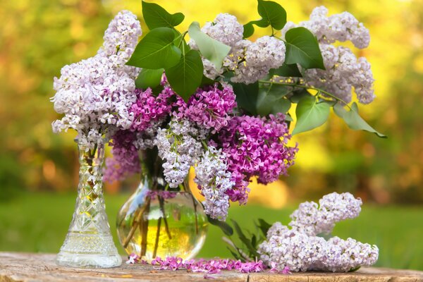 Natura morta con un bouquet di lillà in un vaso