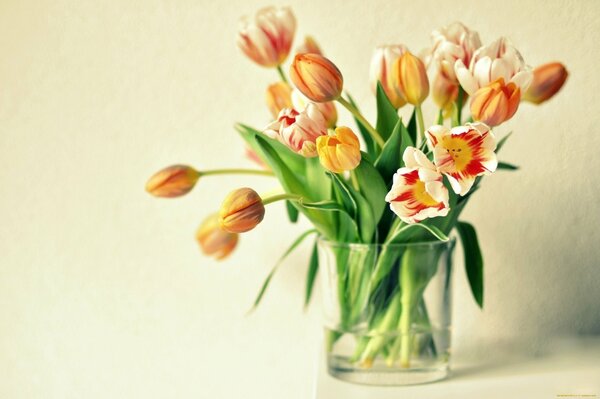 Bouquet de tulipes orange dans un vase