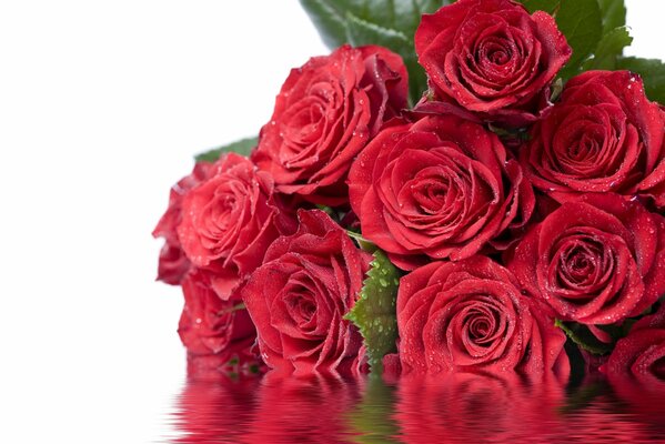 Dear flowers for dear ladies!