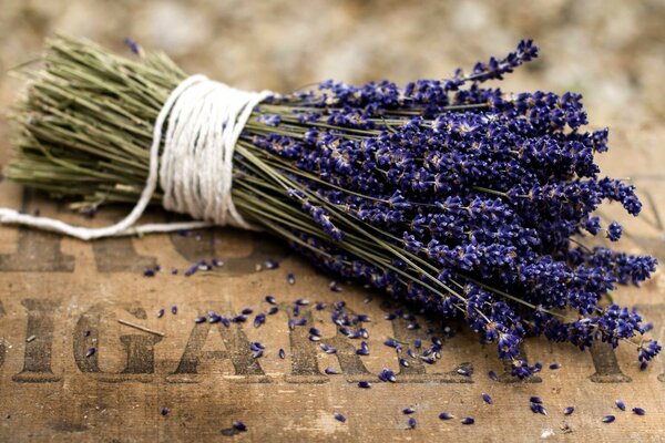 Fiori insoliti bouquet di lavanda di una ricca tonalità viola