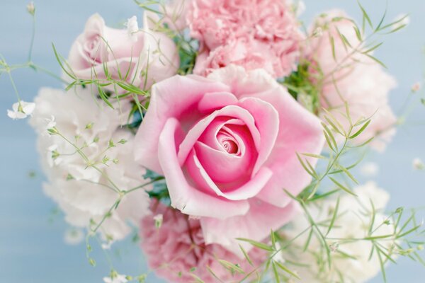 Bouquet of pink and white flowers on a blue background
