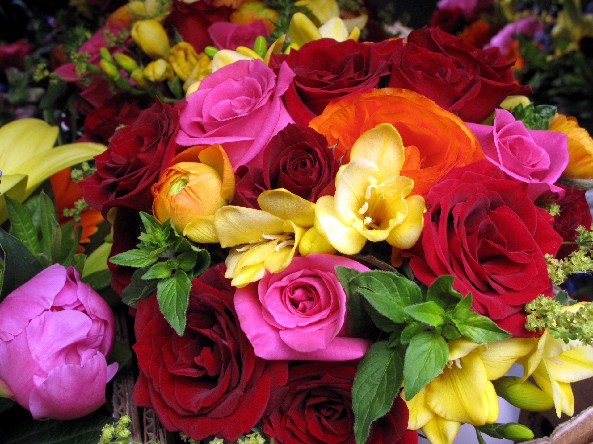 roses red pink orange flowers bouquet flower