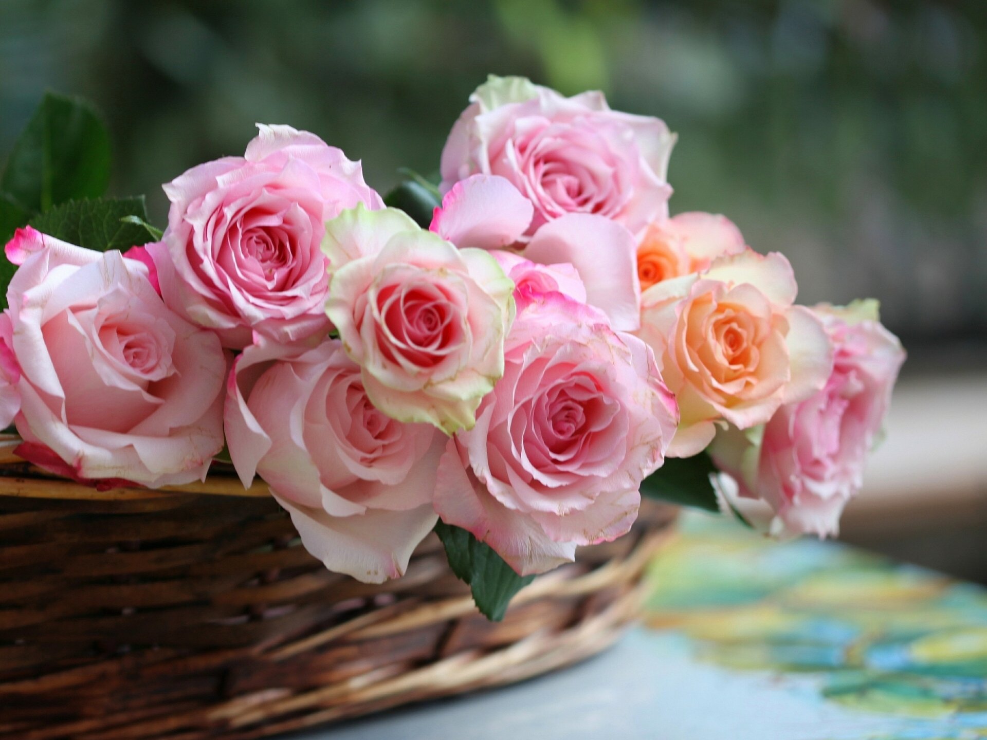 roses panier bourgeons © elena di guardo