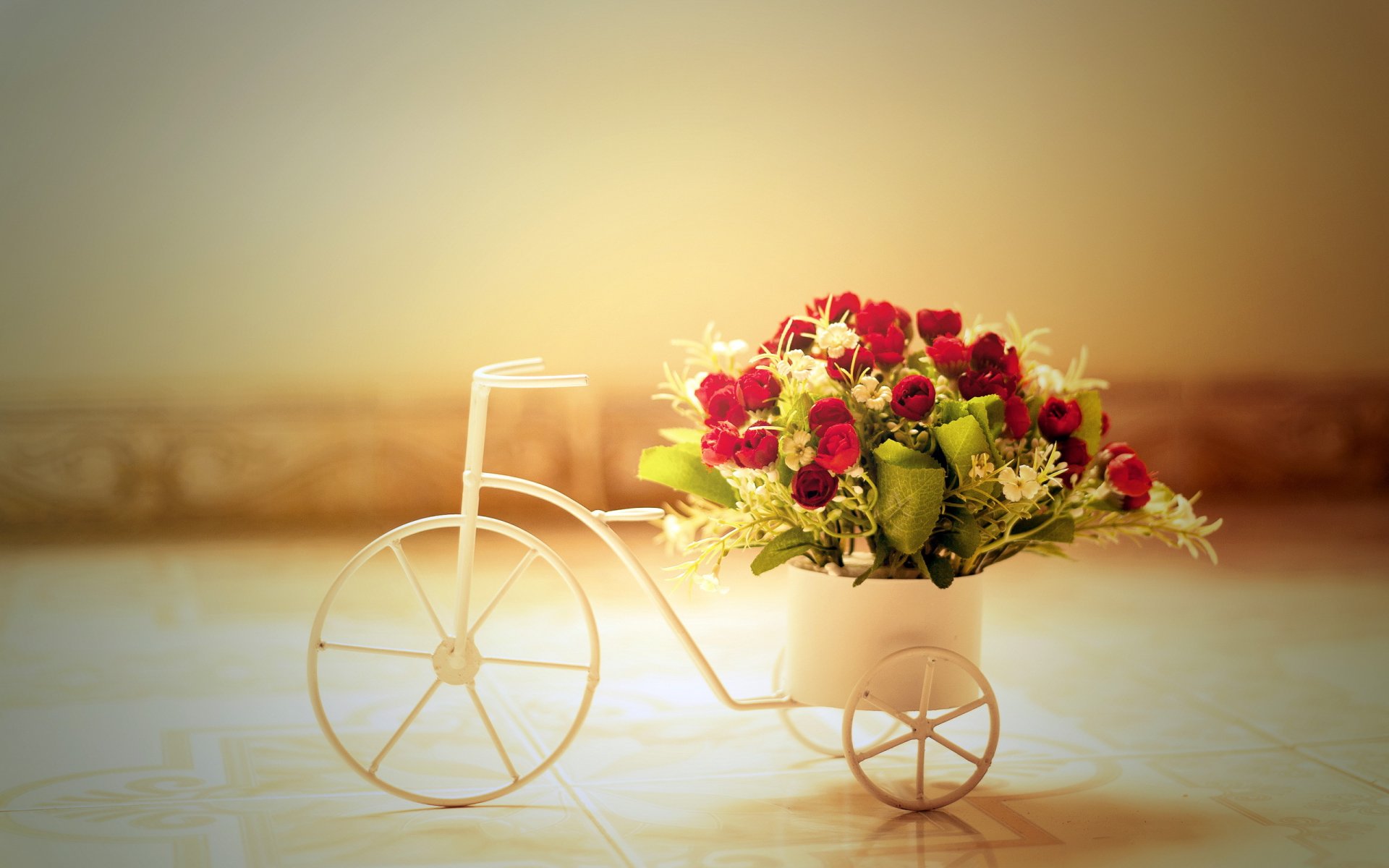 flower roses bike