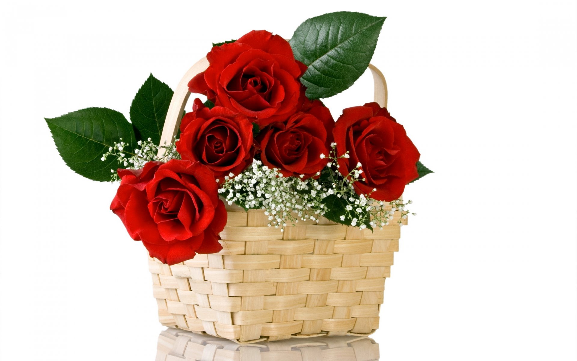 roses rouge fleurs fleur bouquet nature panier panier