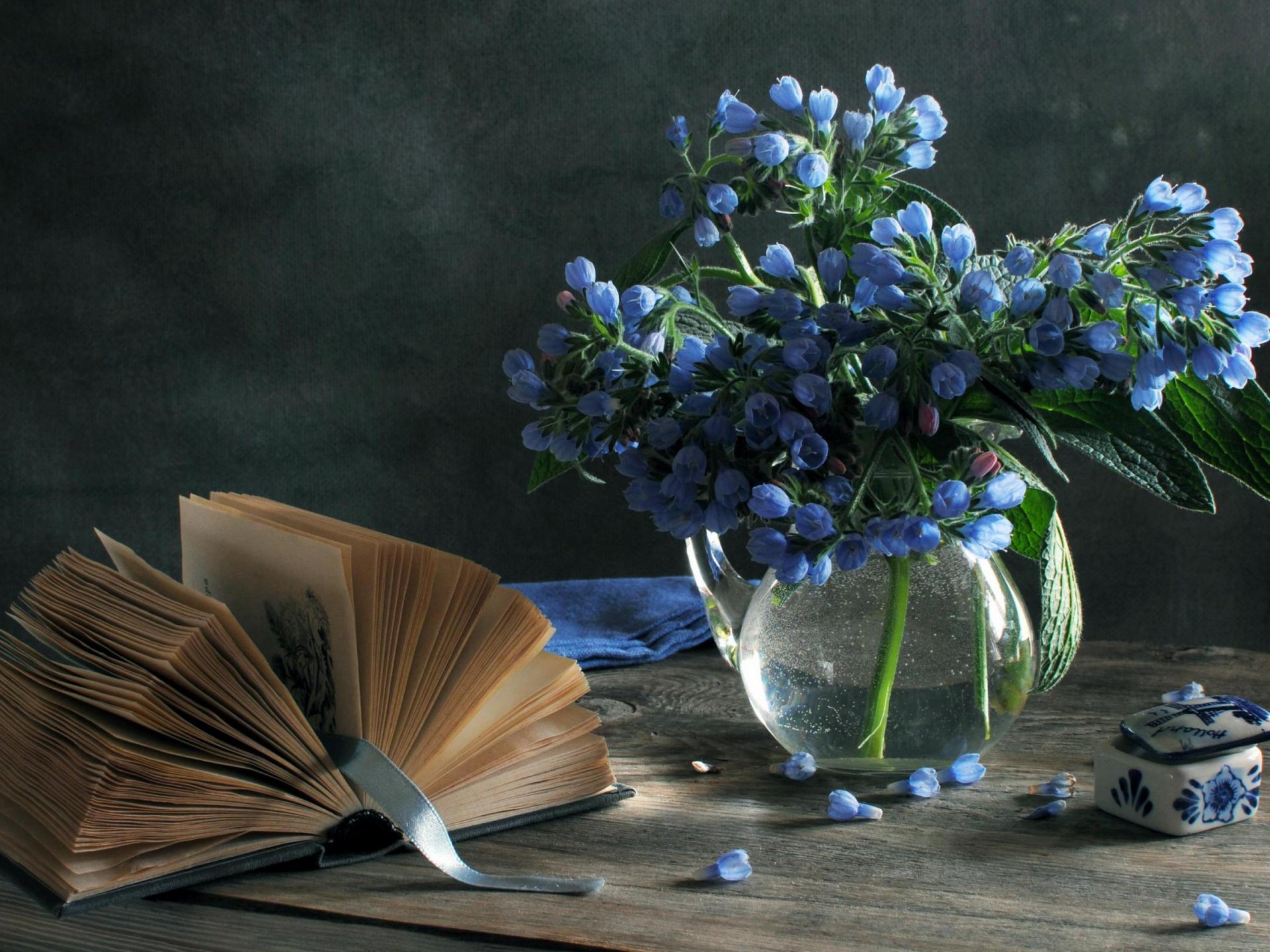 naturaleza muerta flores azules florero libro ataúd marcador cinta suavemente