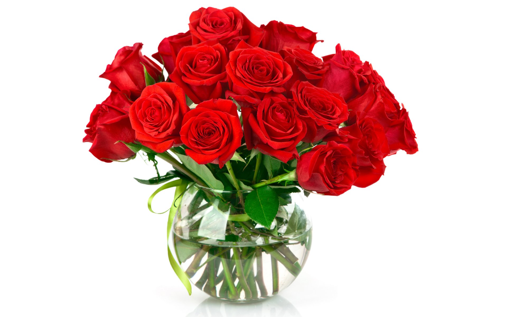 bouquet red roses bank water