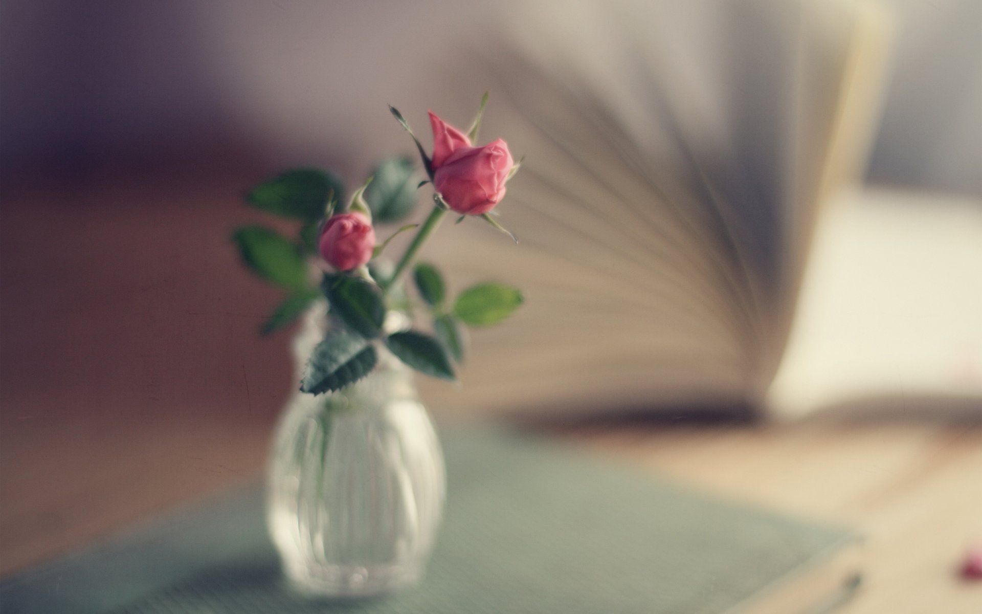 florero ramo rosas rosa libro truco de magia