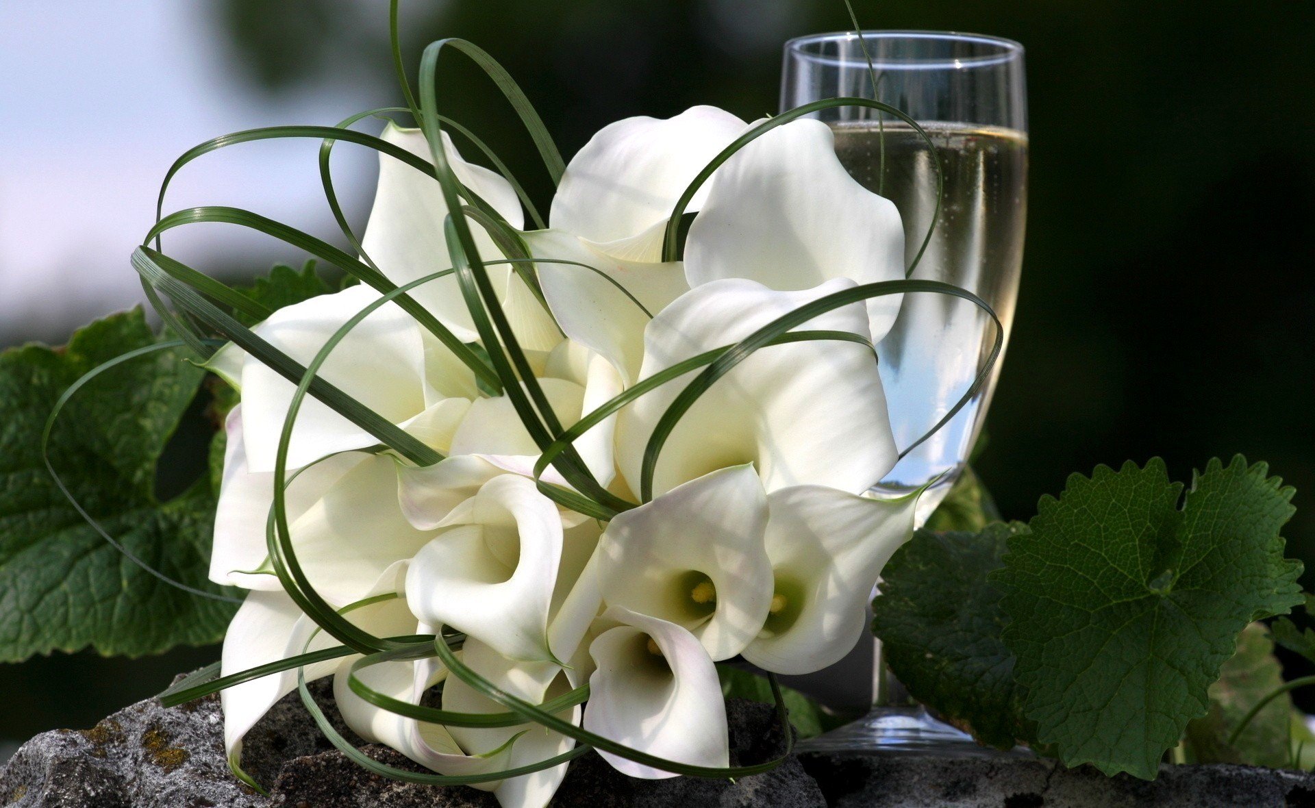 fleurs bouquet blanc calla feuilles vert couleur verre boisson