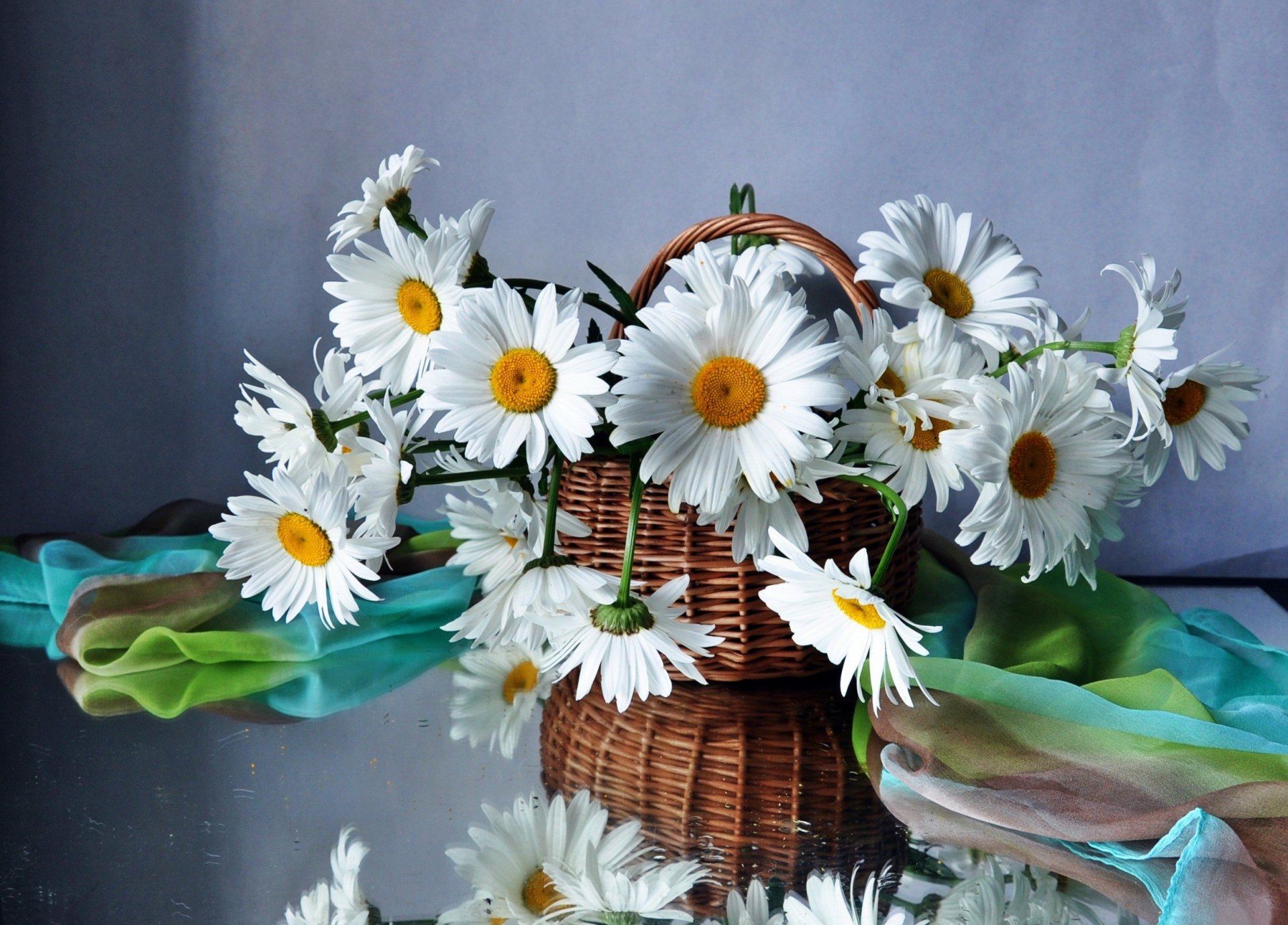 daisies flowers flower bouquet beautiful field basket basket