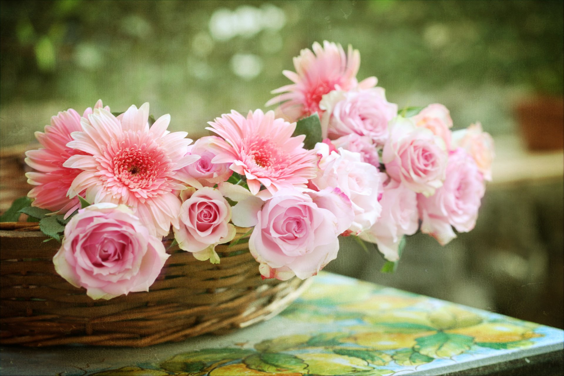 roses gerbera basket © elena di guardo