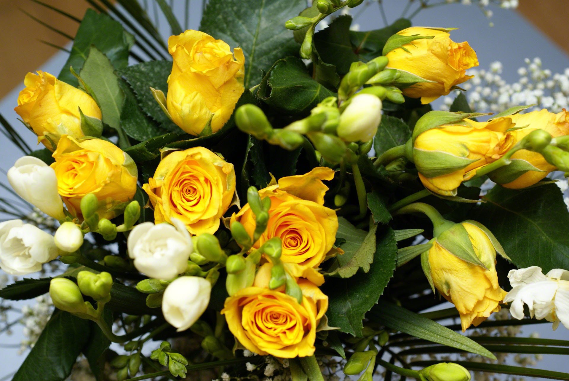 roses yellow flower flowers bouquet nature