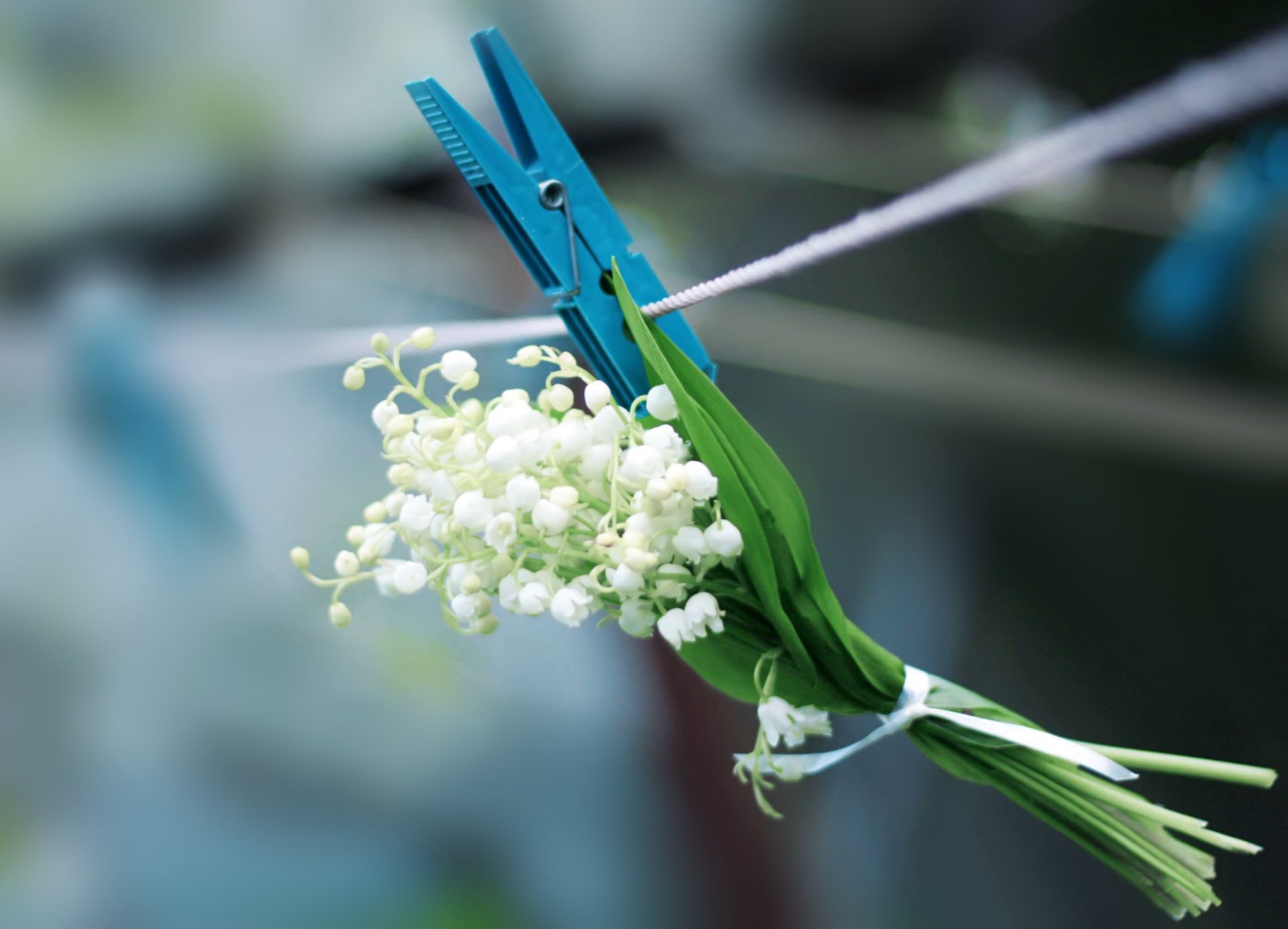 muguet pince à linge corde printemps blanc fleur bleu