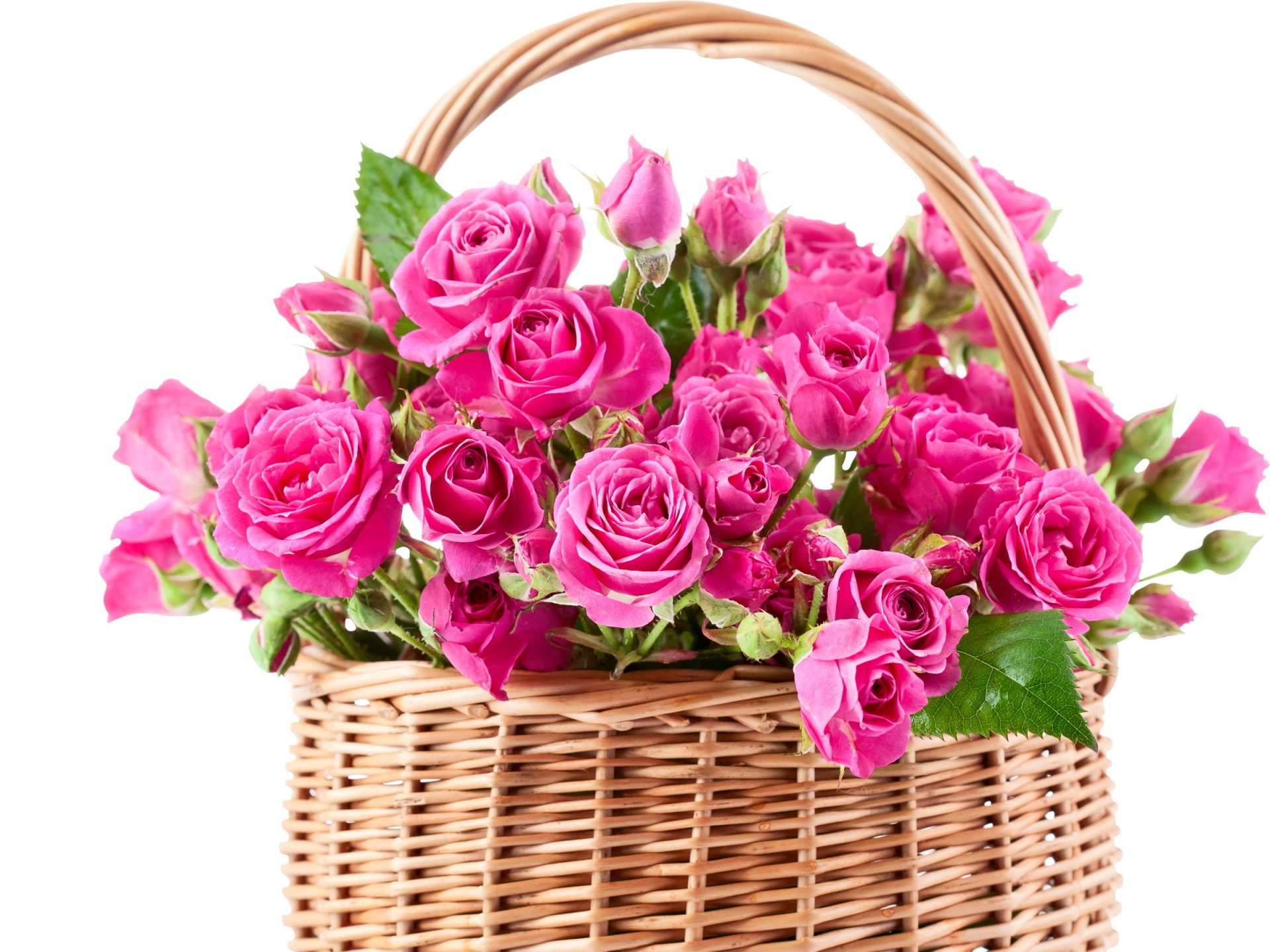 roses pink flower beautiful bouquet shopping basket