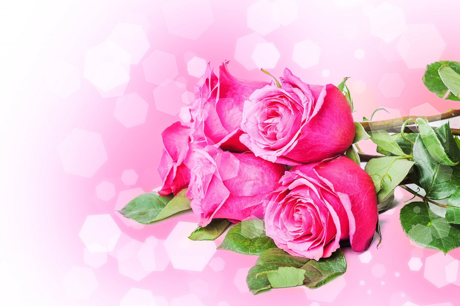 flower bouquet roses pink stems petal