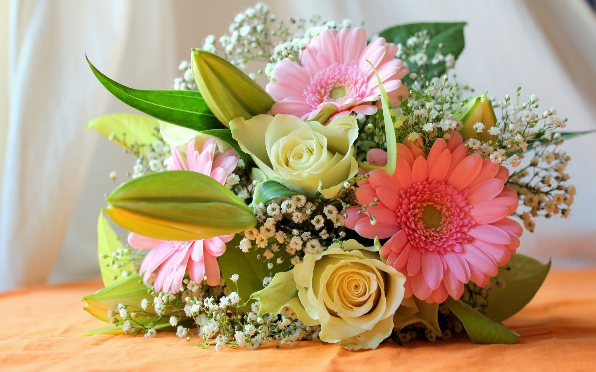 fleurs fleur bouquet rose gerbera